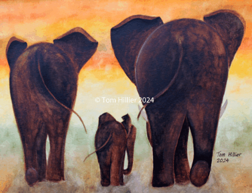 Elephant Family on the Savannah, 2024
