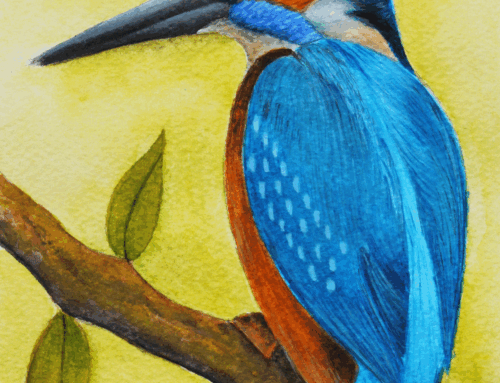 Kingfisher, 2025